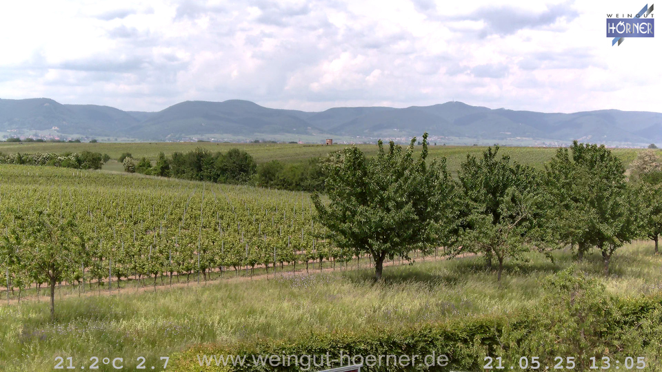 Webcam Weinberge Hochstadt