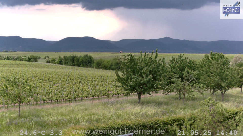 Webcam Weinberge Hochstadt