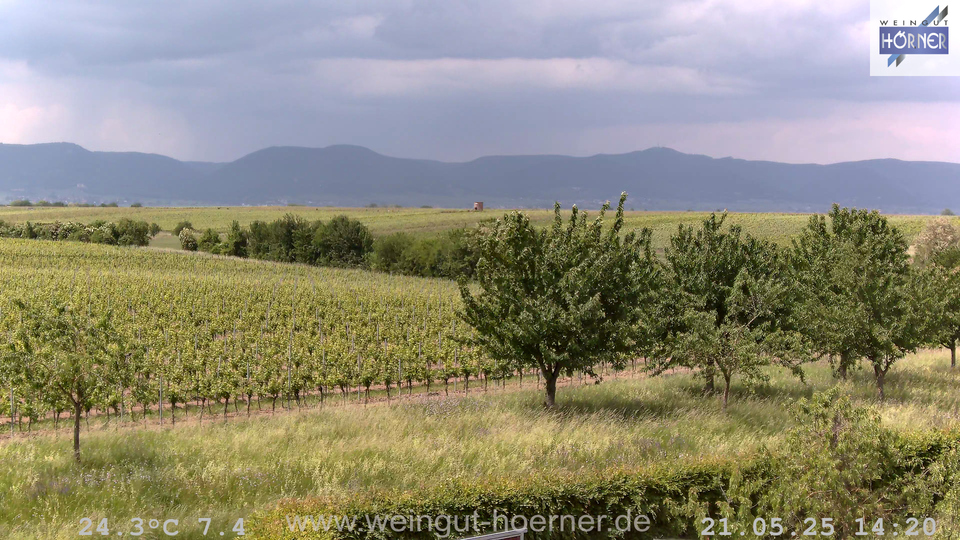 Webcam Weinberge Hochstadt