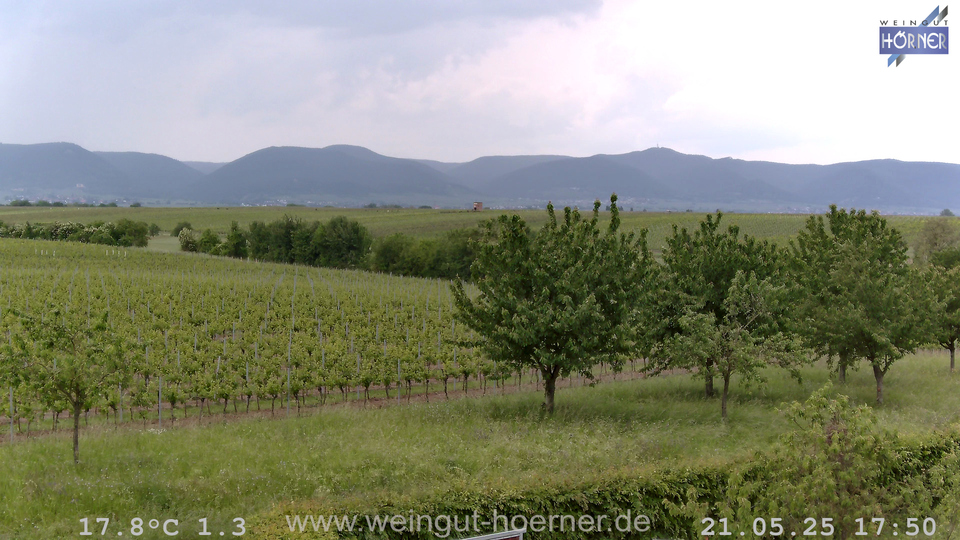 Webcam Weinberge Hochstadt
