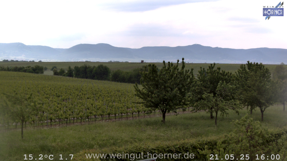 Webcam Weinberge Hochstadt
