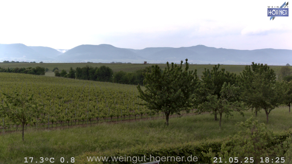 Webcam Weinberge Hochstadt