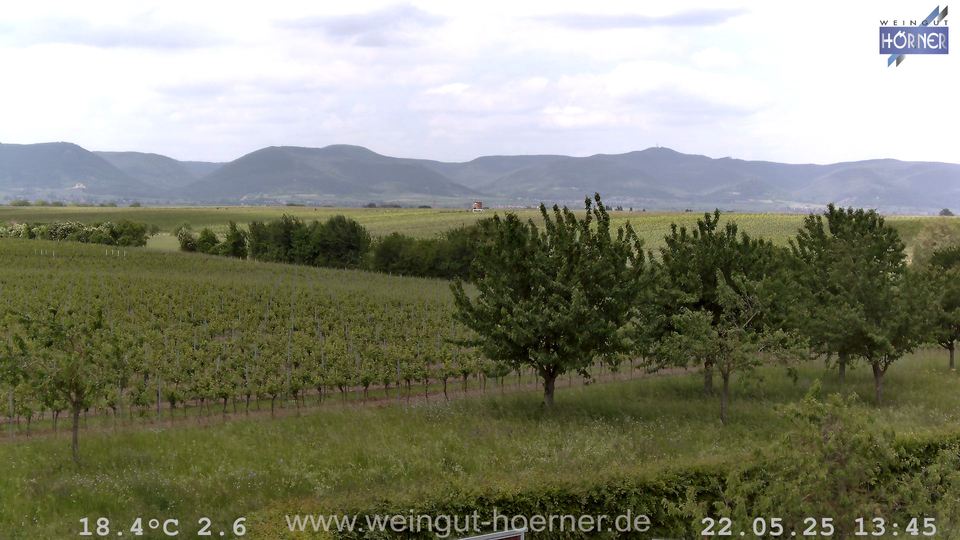 Webcam Weinberge Hochstadt
