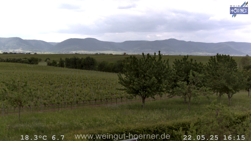 Webcam Weinberge Hochstadt
