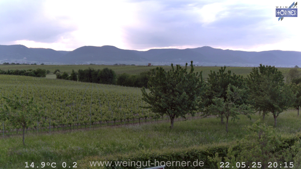 Webcam Weinberge Hochstadt