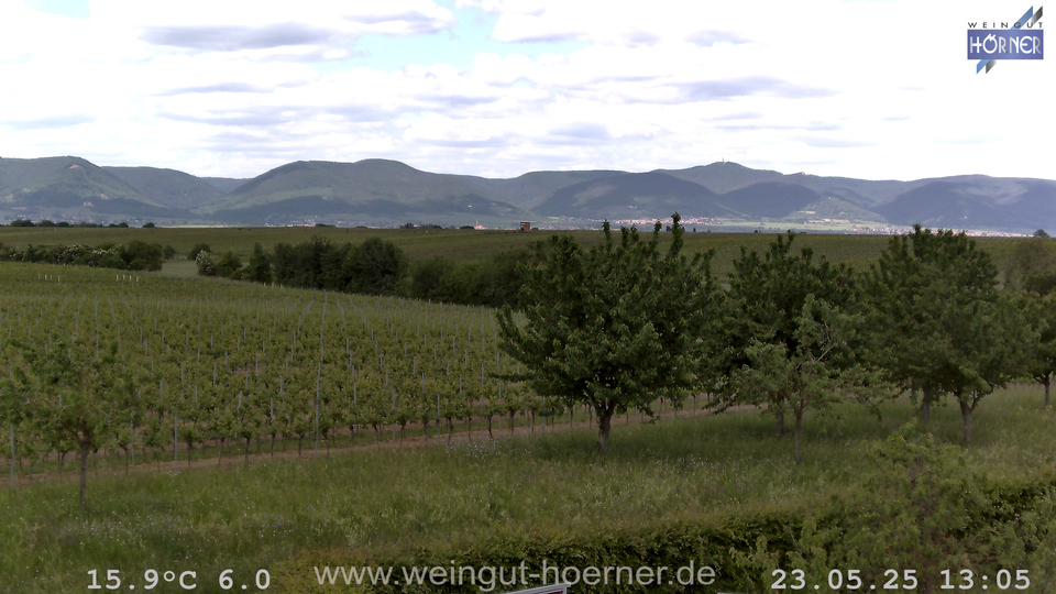Webcam Weinberge Hochstadt