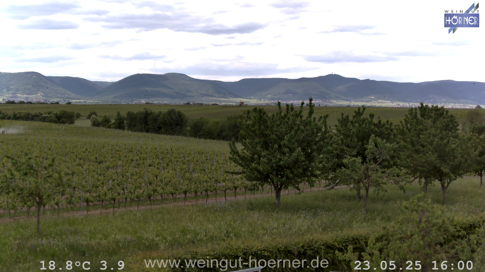 Webcam Weinberge Hochstadt