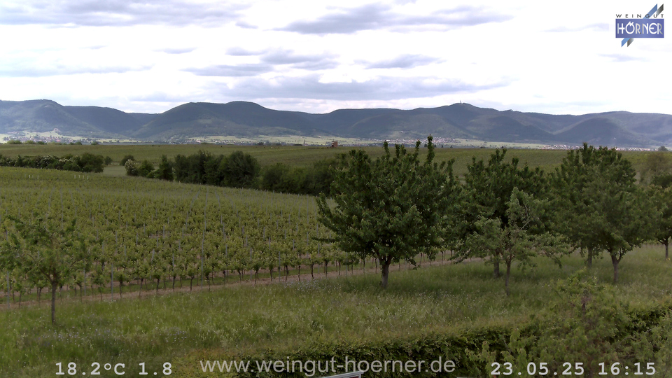 Webcam Weinberge Hochstadt