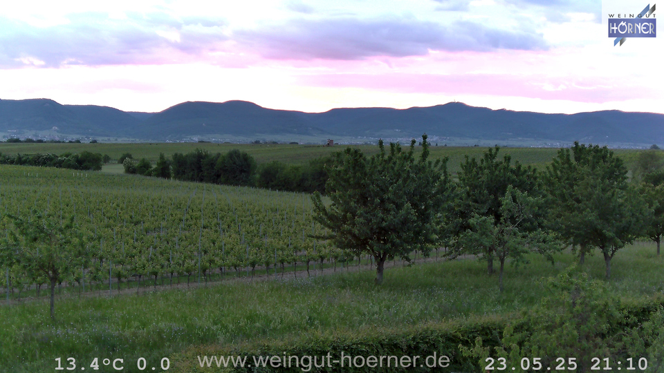Webcam Weinberge Hochstadt