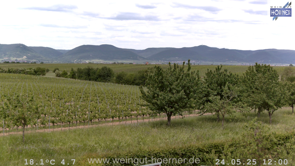 Webcam Weinberge Hochstadt