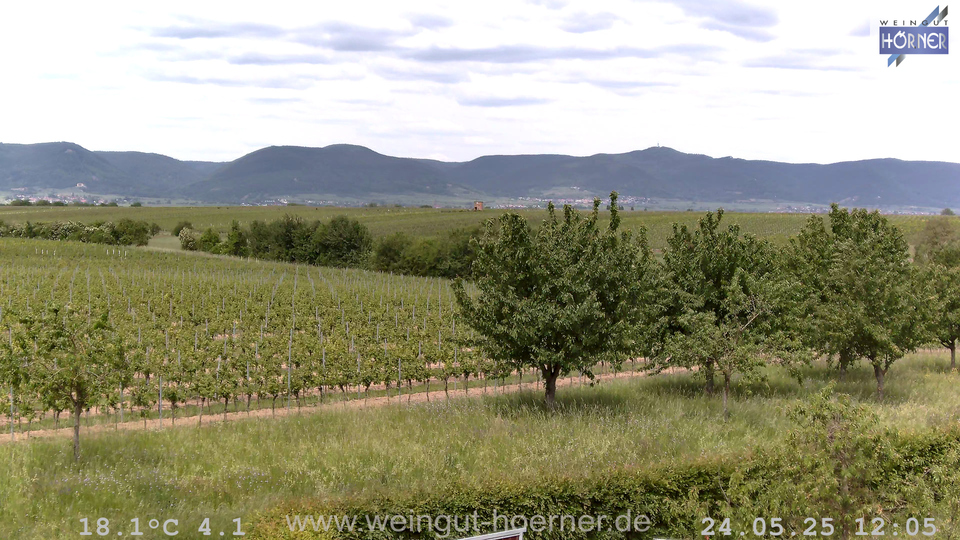 Webcam Weinberge Hochstadt