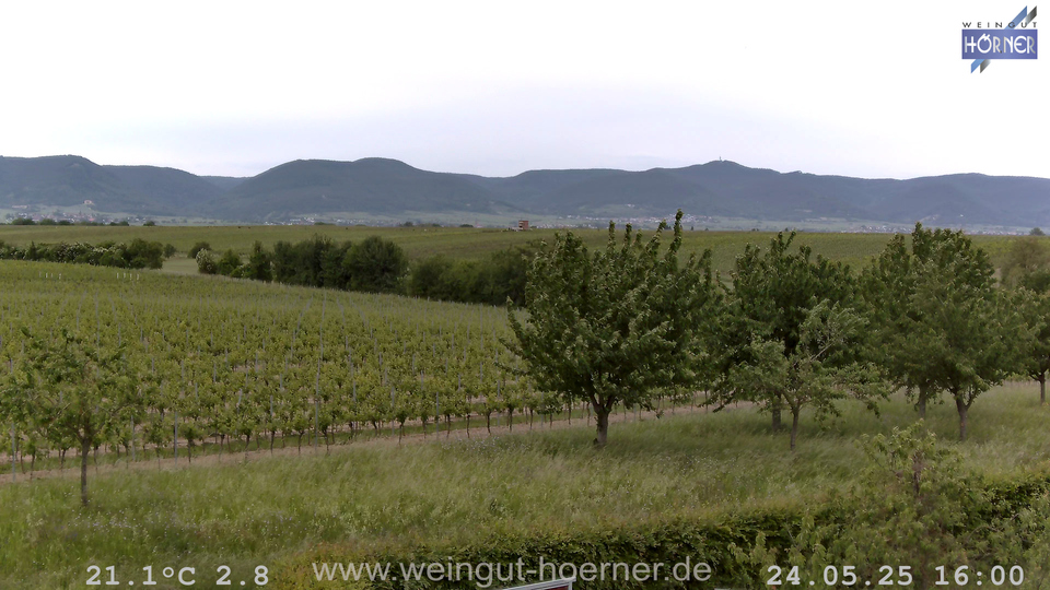 Webcam Weinberge Hochstadt