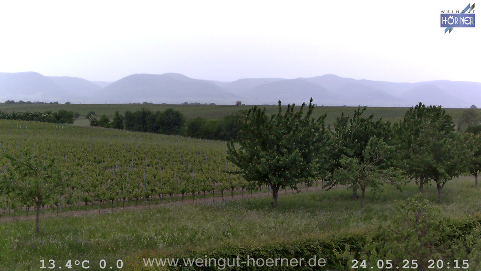 Webcam Weinberge Hochstadt