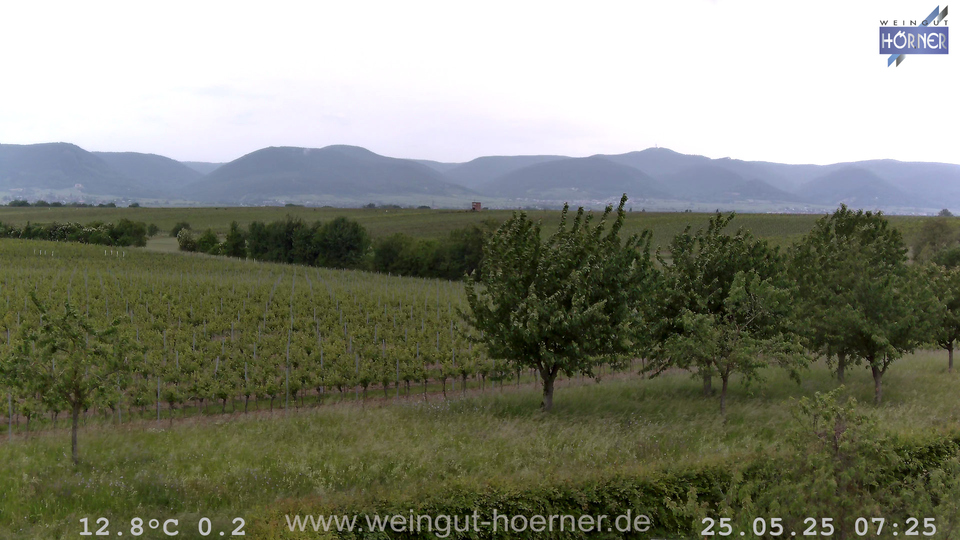 Webcam Weinberge Hochstadt