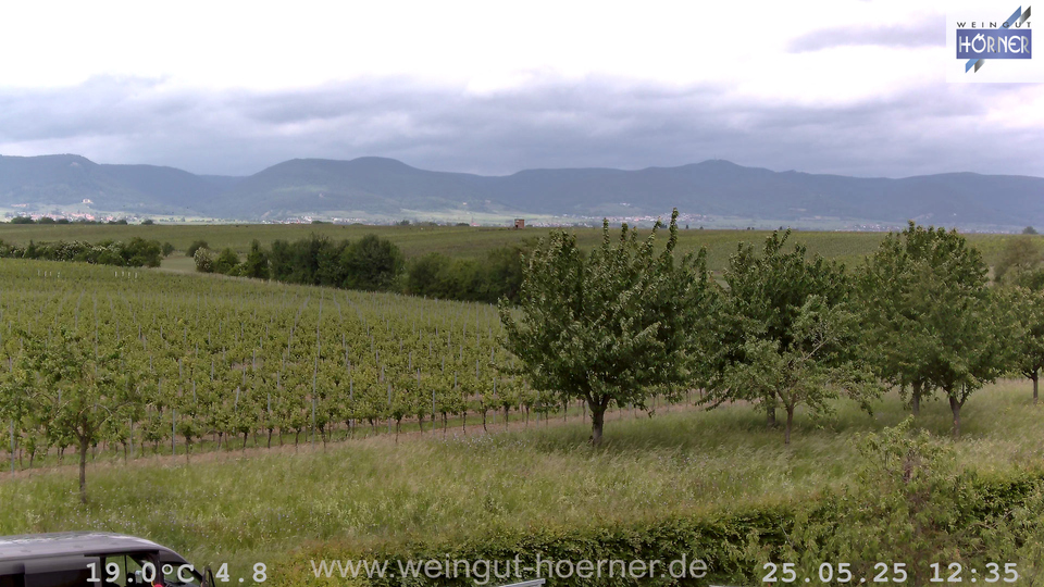 Webcam Weinberge Hochstadt