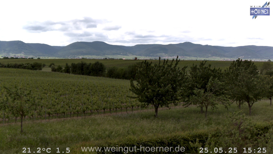 Webcam Weinberge Hochstadt
