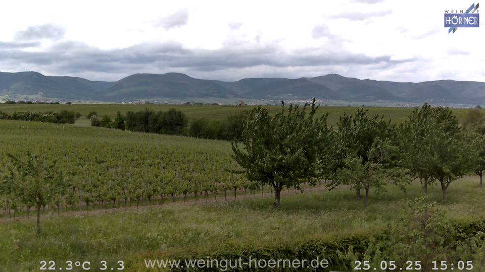 Webcam Weinberge Hochstadt