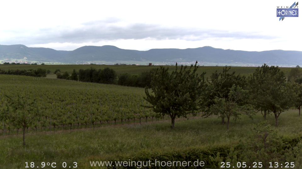 Webcam Weinberge Hochstadt