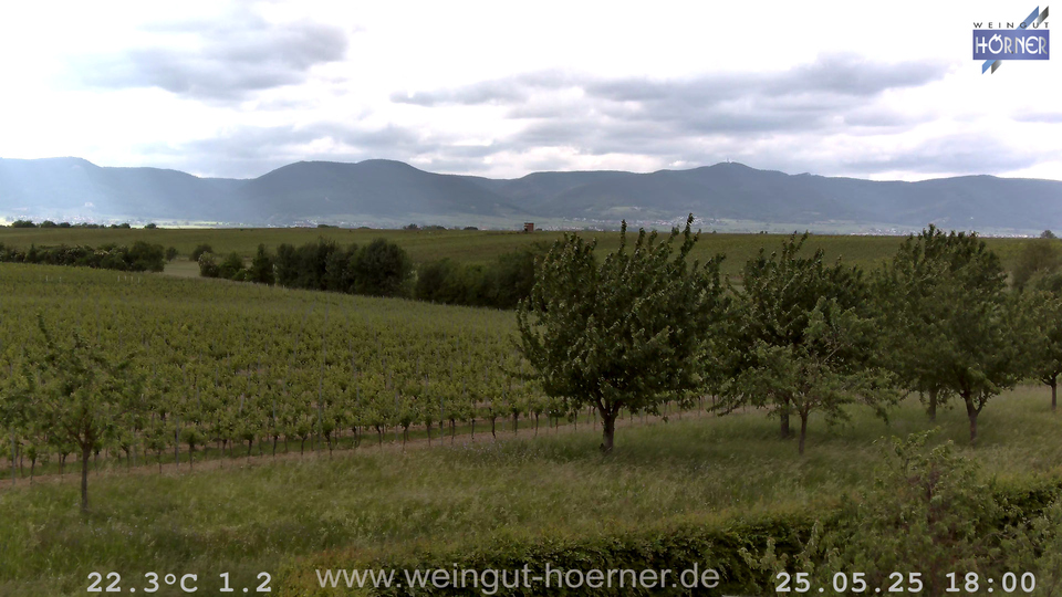 Webcam Weinberge Hochstadt
