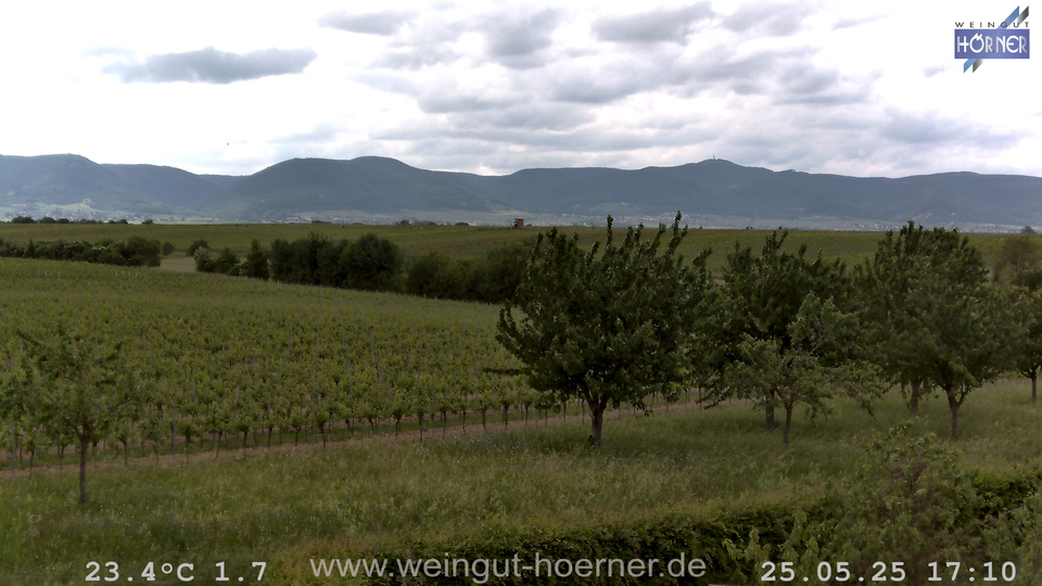 Webcam Weinberge Hochstadt