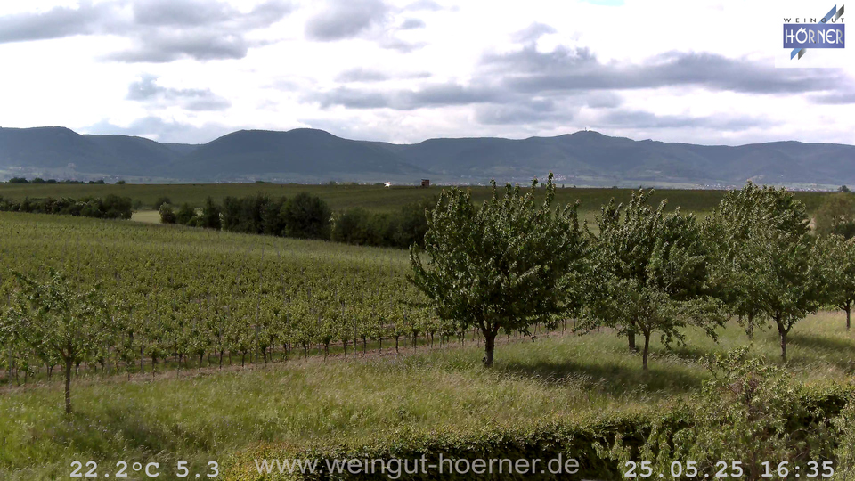Webcam Weinberge Hochstadt