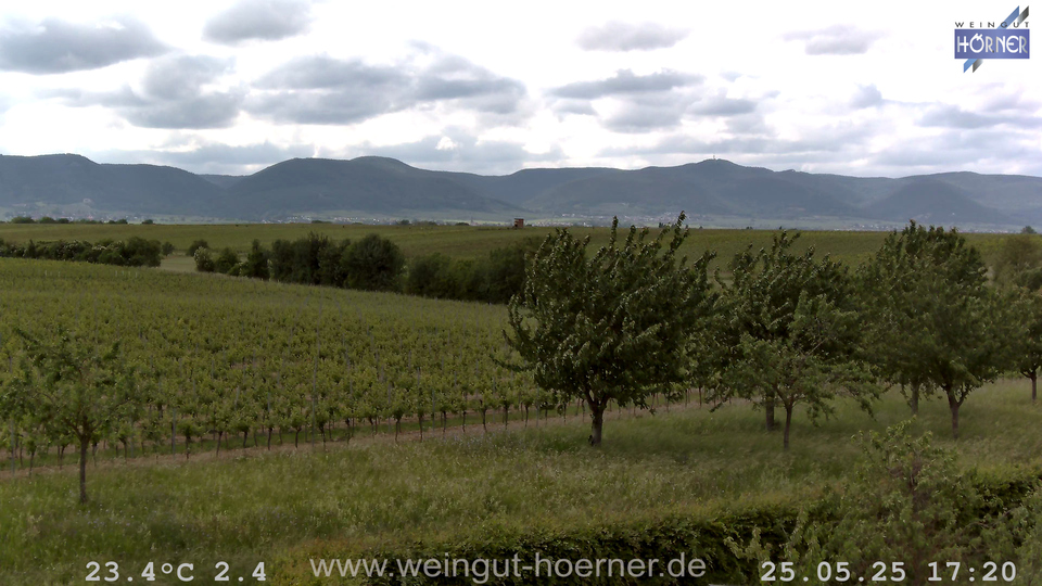 Webcam Weinberge Hochstadt