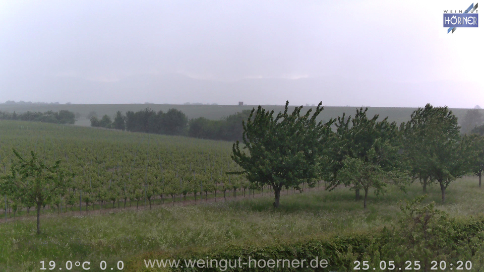 Webcam Weinberge Hochstadt