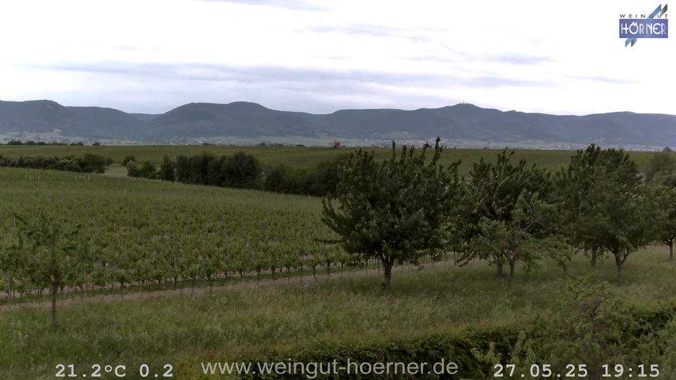 Webcam Weinberge Hochstadt