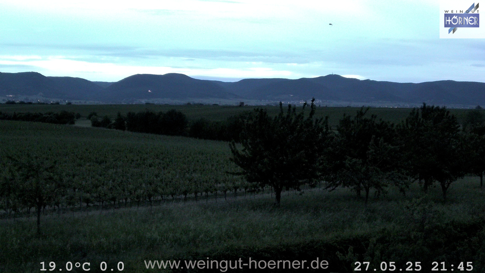 Webcam Weinberge Hochstadt