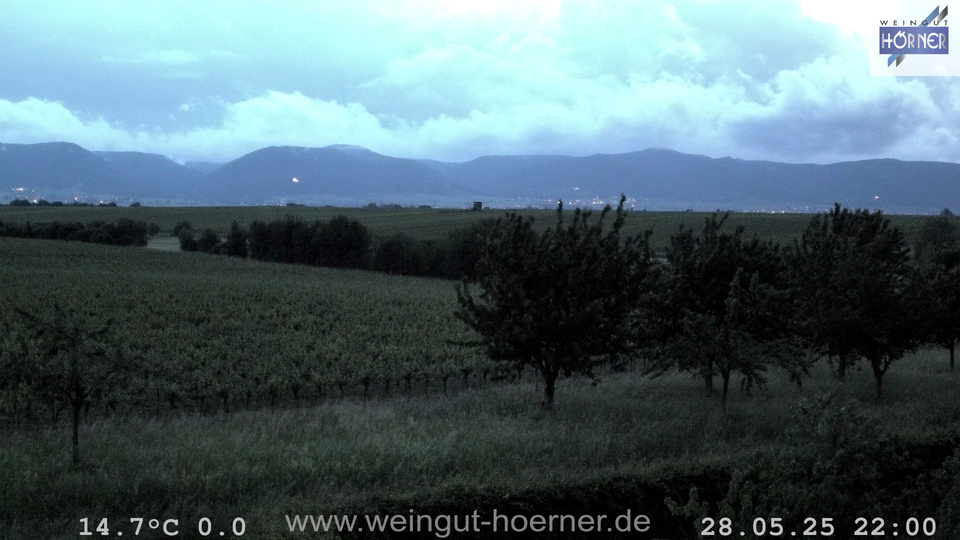 Webcam Weinberge Hochstadt