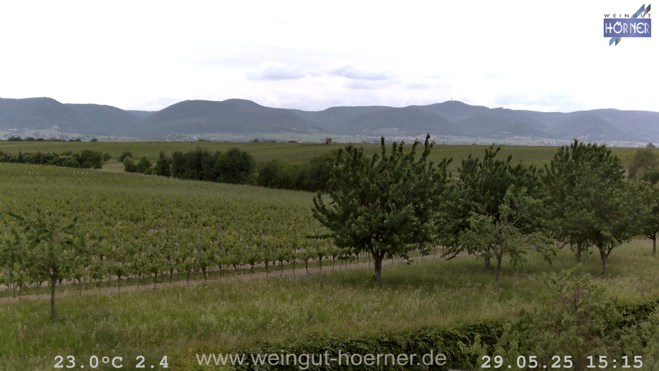 Webcam Weinberge Hochstadt