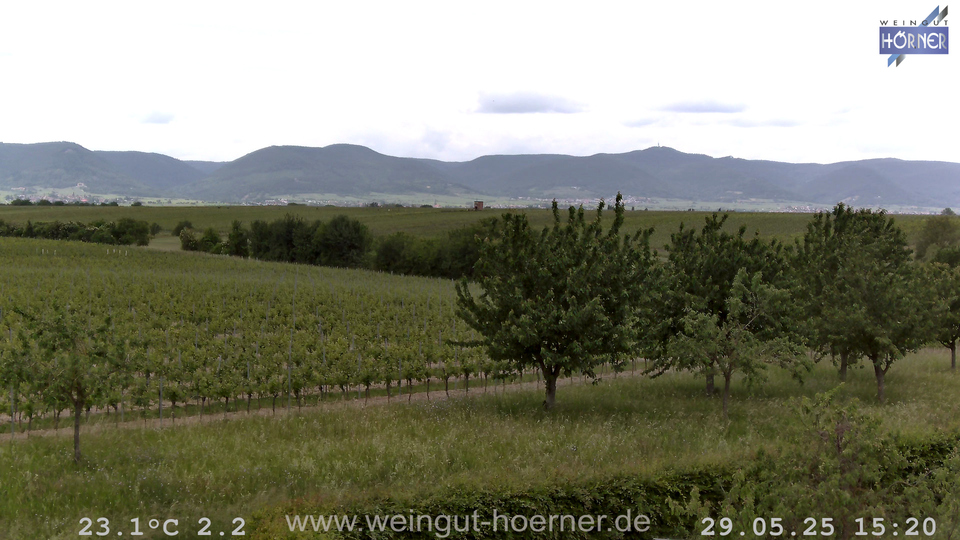 Webcam Weinberge Hochstadt