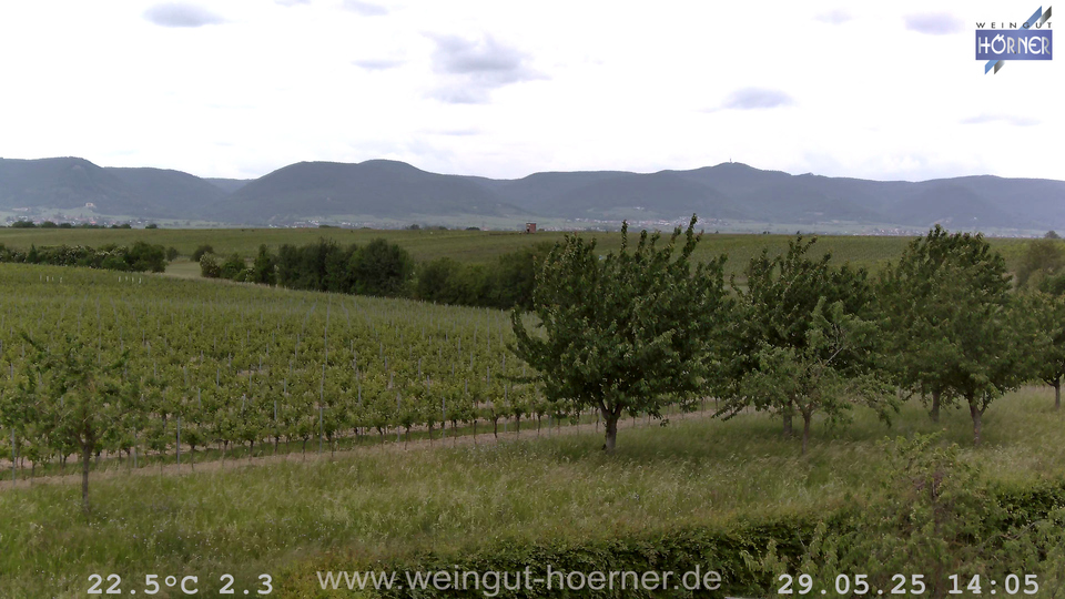 Webcam Weinberge Hochstadt