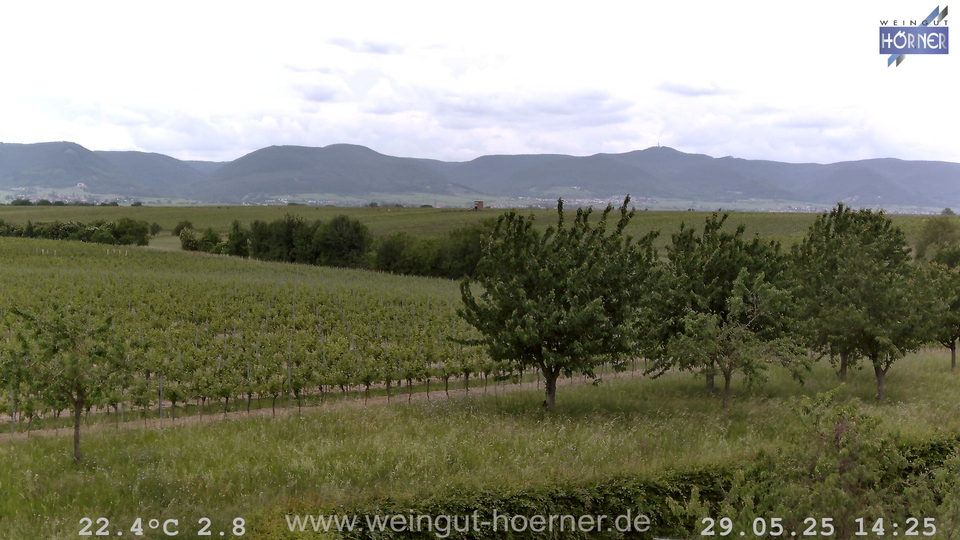 Webcam Weinberge Hochstadt