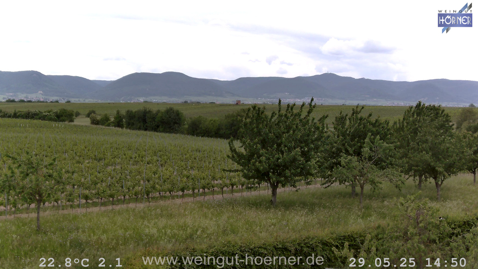 Webcam Weinberge Hochstadt