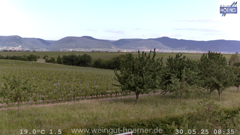 Webcam Weinberge Hochstadt