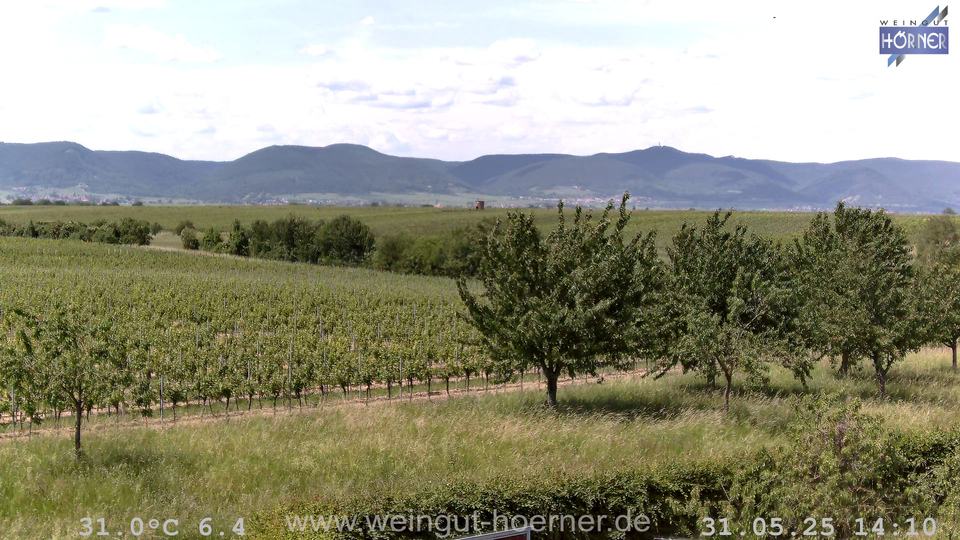 Webcam Weinberge Hochstadt