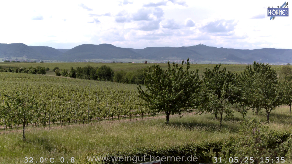 Webcam Weinberge Hochstadt