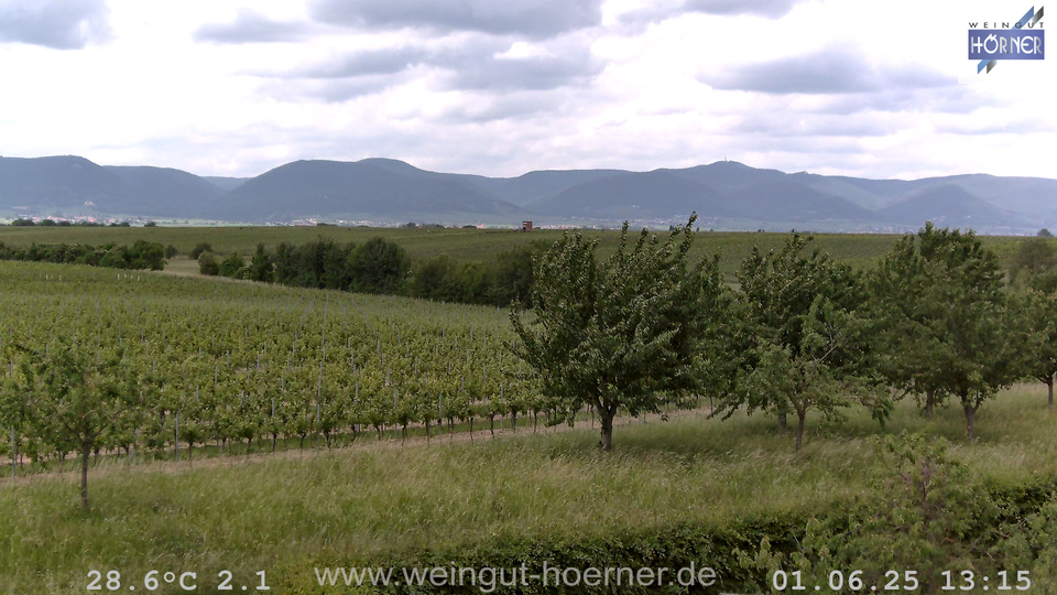 Webcam Weinberge Hochstadt