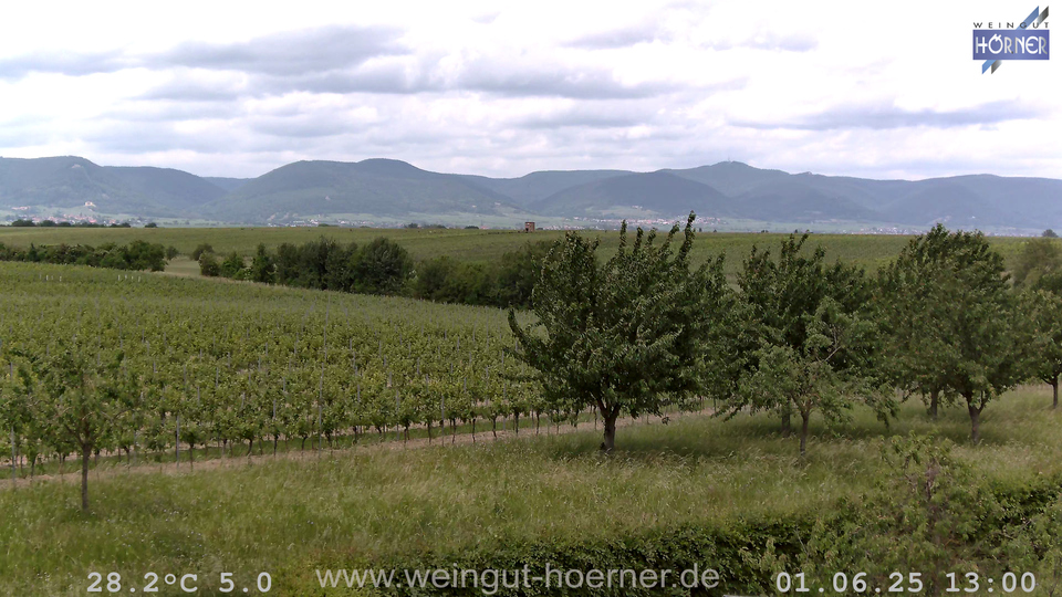 Webcam Weinberge Hochstadt