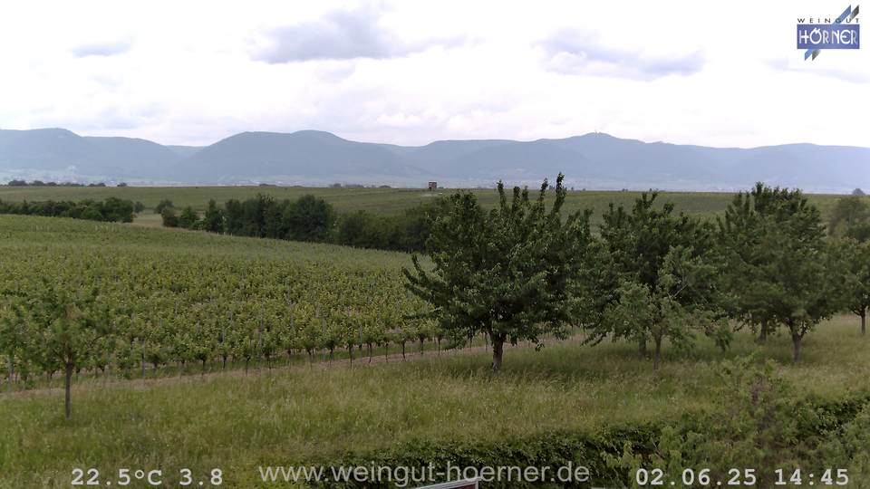 Webcam Weinberge Hochstadt