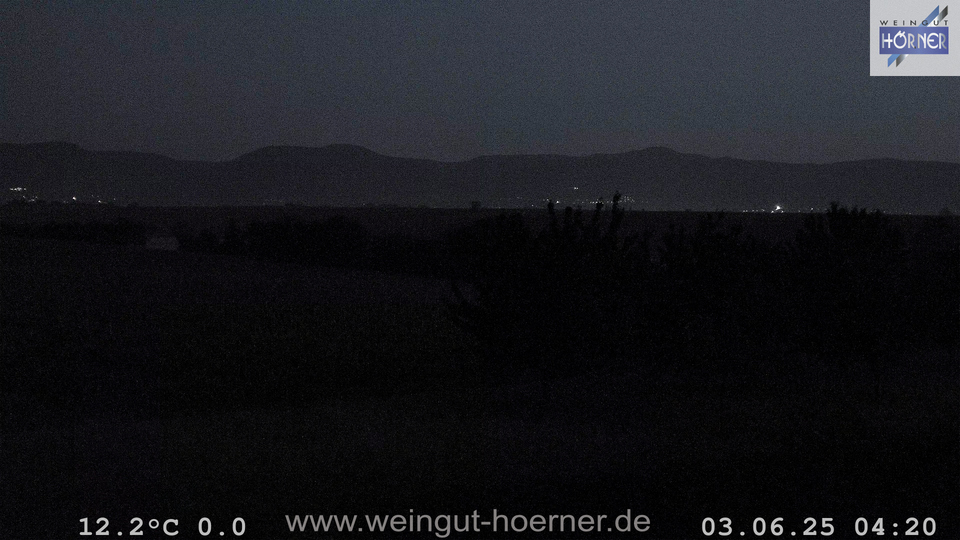 Webcam Weinberge Hochstadt
