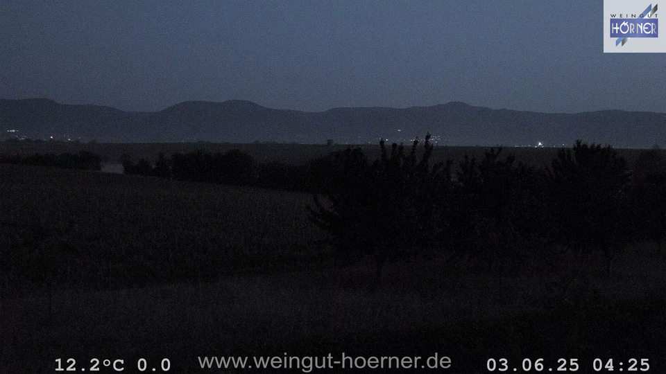 Webcam Weinberge Hochstadt