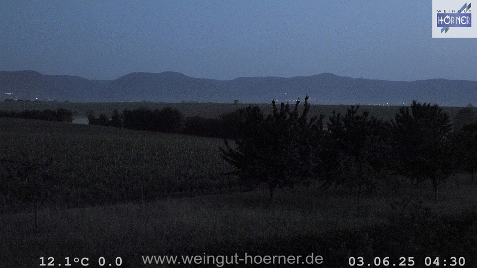 Webcam Weinberge Hochstadt
