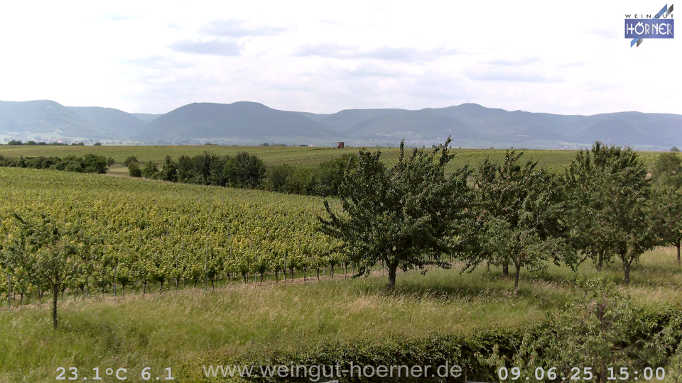 Webcam Weinberge Hochstadt