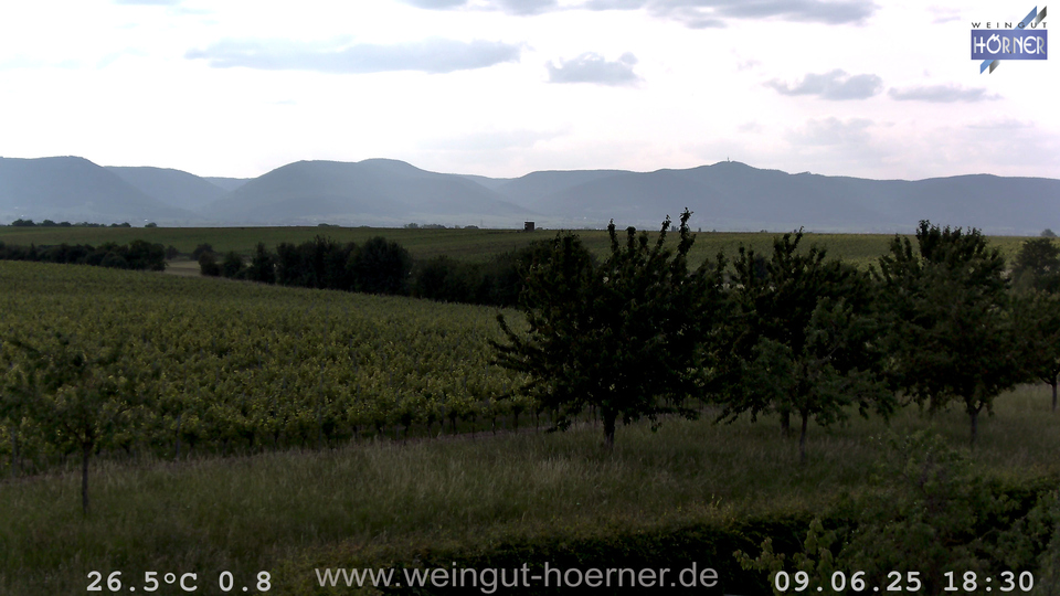 Webcam Weinberge Hochstadt