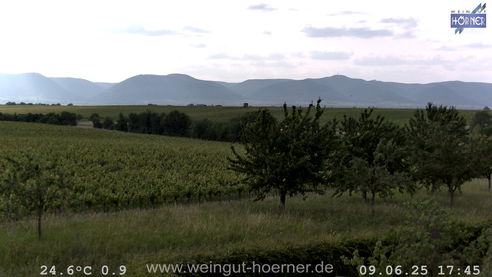 Webcam Weinberge Hochstadt