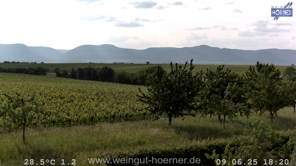 Webcam Weinberge Hochstadt