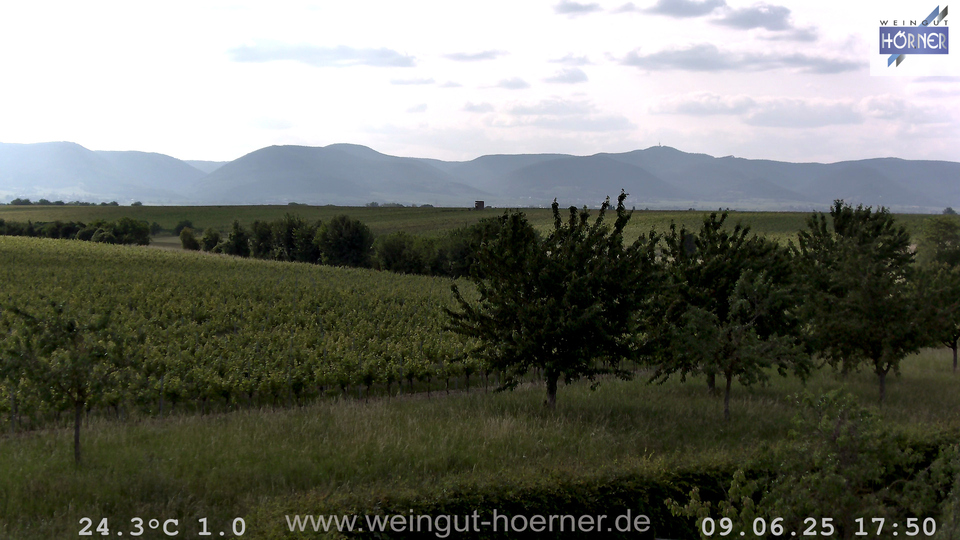 Webcam Weinberge Hochstadt