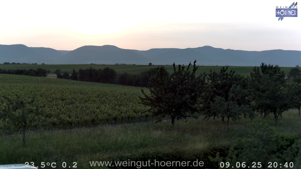 Webcam Weinberge Hochstadt